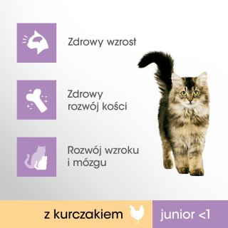 Perfect Fit PERFECT FIT (Junior) 750g Bogaty w kurczaka - sucha karma dla kota