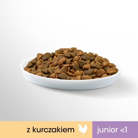 Perfect Fit PERFECT FIT (Junior) 750g Bogaty w kurczaka - sucha karma dla kota