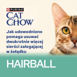 Purina Cat Chow Purina Cat Chow Hairball Karma Z Kurczakiem I Zieloną Fasolką W Sosie 85g