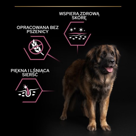 Purina Pro Plan Purina Pro Plan Large Adult Robust Optiderma Łosoś Z Ryżem 14kg