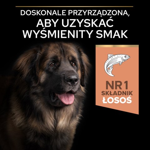 Purina Pro Plan Purina Pro Plan Large Adult Robust Optiderma Łosoś Z Ryżem 14kg