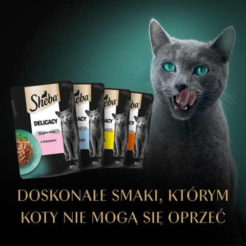 Sheba Sheba Fine Flakes In Jelly Saszetka 4x85g
