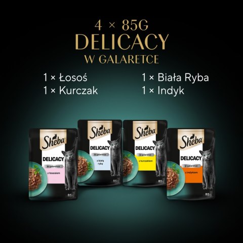 Sheba Sheba Fine Flakes In Jelly Saszetka 4x85g