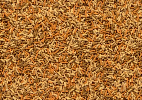 TETRA Tetra Pond Variety Sticks 4l