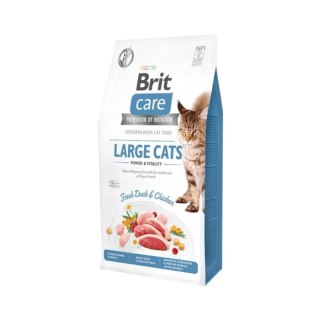 Brit Brit Care Grain-Free Large Cats Power & Vitality Z Kaczką I Kurczakiem 2kg