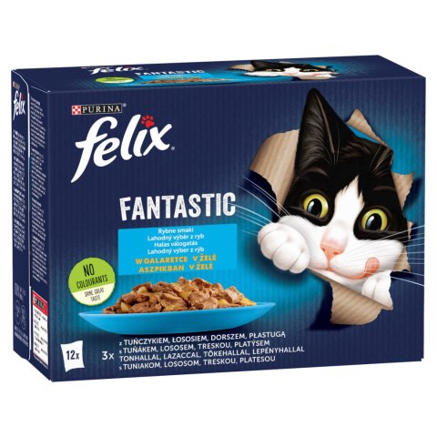 Felix Felix Fantastic Rybne Smaki W Galaretce 12x85g