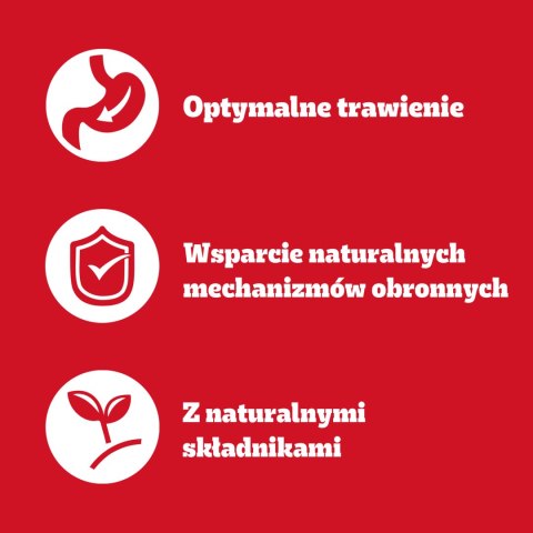 Pedigree Pedigree Mokra Karma Dla Dorosłych Psów Saszetka Mix Smaków (Z Kurczakiem I Warzywami, Z Wołowiną I Warzywami, Z Indykiem I Marc