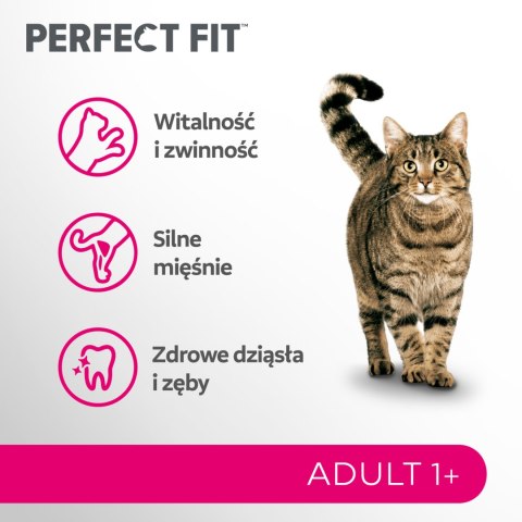 Perfect Fit PERFECT FIT Adult 1+ Z Kurczakiem 7kg