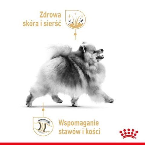 Royal Canin ROYAL CANIN Pomeranian 12x85g