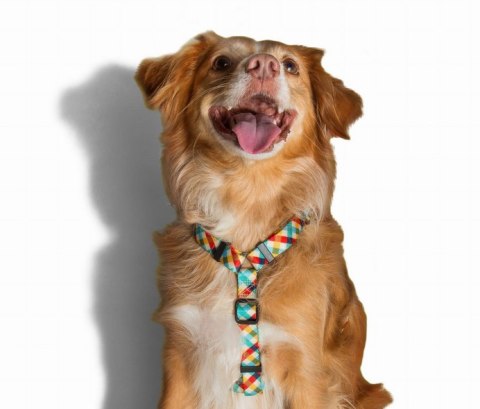 ZeeDog ZEE DOG Szelki H Phantom L