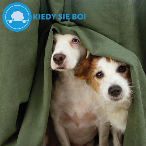 Ceva Animal Health Polska Sp. z o.o. Ceva Animal Health Polska Sp. Z O.o. Adaptil Wkład Dyfuzora 48ml