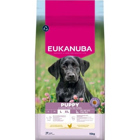 Eukanuba Eukanuba Puppy&Junior Large Breed 15kg
