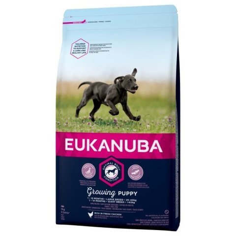 Eukanuba Eukanuba Puppy&Junior Large Breed 15kg