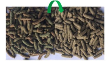 Versele-Laga Cuni Sensitive Complete - Pokarm Dla Królików 1,75kg
