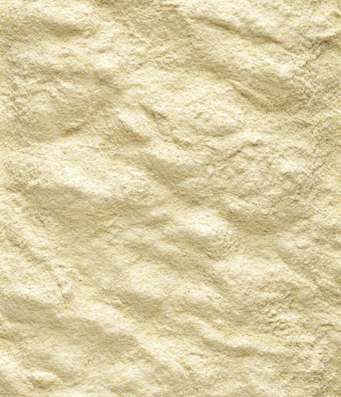 Versele-Laga Versele-Laga NutriBird A19 Pokarm Do Ręcznego Karmienia Piskląt 3kg