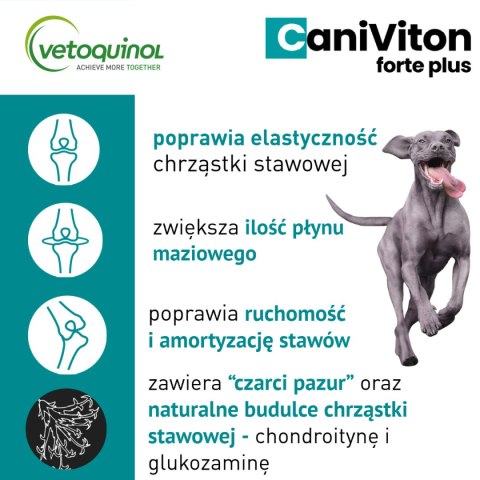 Vetoquinol Vetoquinol Caniviton Forte Plus 90szt