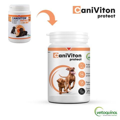 Vetoquinol Vetoquinol Caniviton Protect 90szt