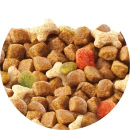 Friskies PURINA Friskies Junior Z Kurczakiem Mlekiem I Warzywami 15kg