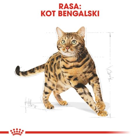 Royal Canin ROYAL CANIN Bengal Adult 10kg