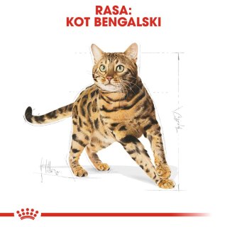 Royal Canin ROYAL CANIN Bengal Adult 2kg