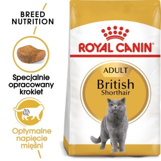 Royal Canin ROYAL CANIN British Shorthair Adult 2kg
