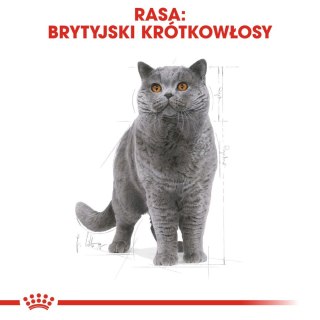 Royal Canin ROYAL CANIN British Shorthair Adult 2kg