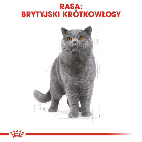 Royal Canin ROYAL CANIN British Shorthair Adult 2kg