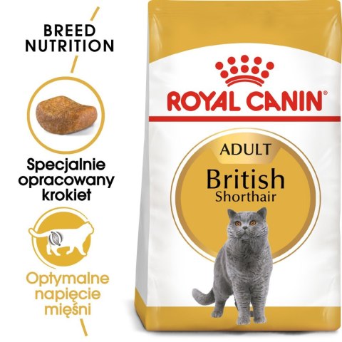 Royal Canin ROYAL CANIN British Shorthair Adult 4kg