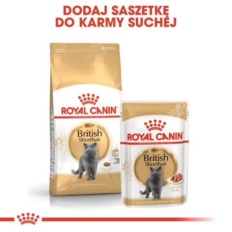 Royal Canin ROYAL CANIN British Shorthair Adult 4kg