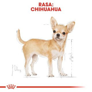 Royal Canin ROYAL CANIN Chihuahua Adult 1,5kg