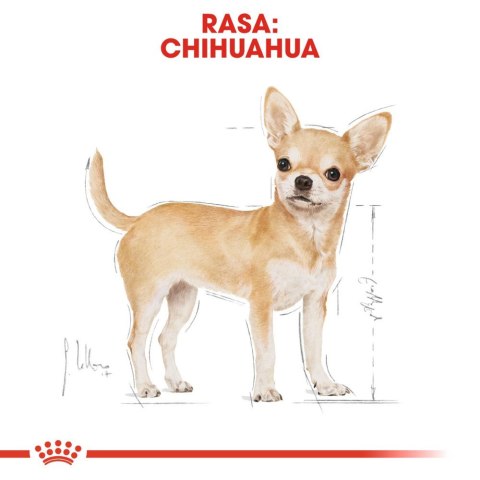 Royal Canin ROYAL CANIN Chihuahua Adult 1,5kg