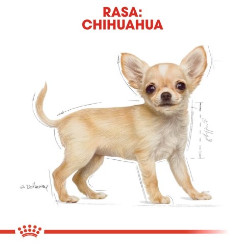 Royal Canin ROYAL CANIN Chihuahua Puppy 1,5kg