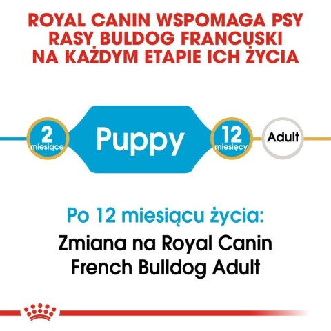 Royal Canin ROYAL CANIN French Bulldog Puppy 10kg