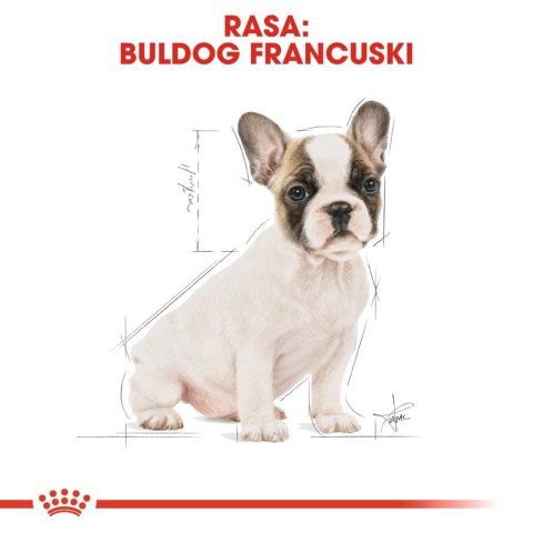 Royal Canin ROYAL CANIN French Bulldog Puppy 10kg