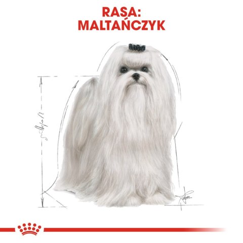 Royal Canin ROYAL CANIN Maltese Adult 500g
