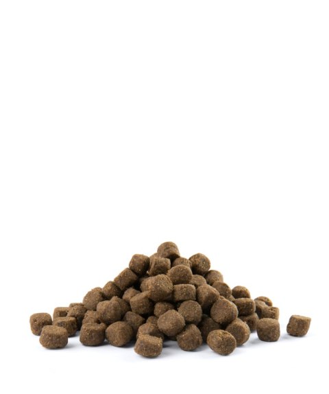 Versele-Laga Versele-Laga Opti Life Adult Digestion Medium&Maxi Jagnięcina Z Ryżem 12,5kg