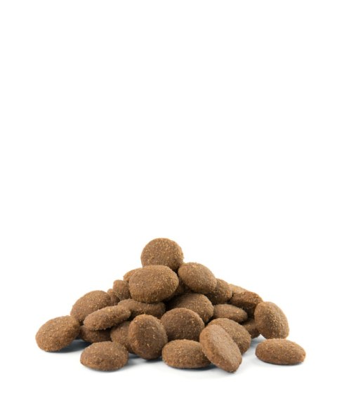 Versele-Laga Versele-Laga Opti Life Adult Maxi Kurczak Z Ryżem 12,5kg