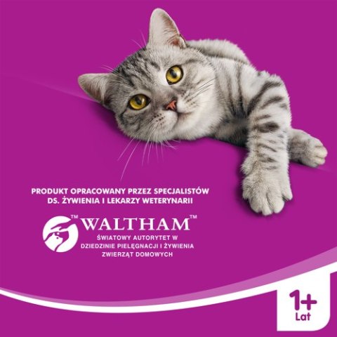 Whiskas WHISKAS Mokra Karma Dla Kota 1+ Z Tuńczykiem W Galaretce 400g