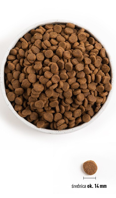 Orijen Dog Puppy 11,4kg