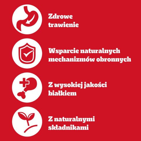 Pedigree Pedigree Mokra Karma Dla Dorosłych Psów Z Wołowiną W Galarecie Puszka 400g