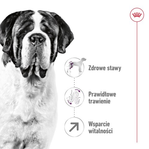 Royal Canin ROYAL CANIN Giant Adult 15kg
