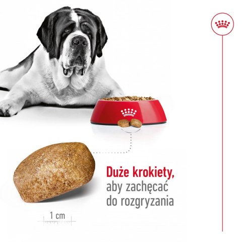 Royal Canin ROYAL CANIN Giant Adult 15kg