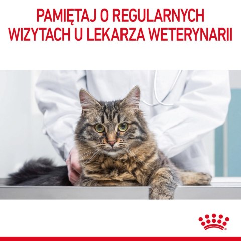 Royal Canin ROYAL CANIN Hairball Care 10kg