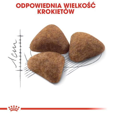 Royal Canin ROYAL CANIN Indoor 27 2kg