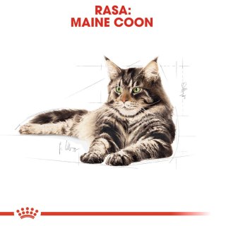 Royal Canin ROYAL CANIN Maine Coon Adult 4kg