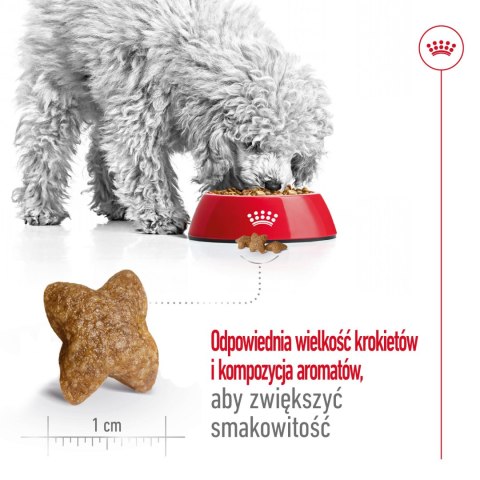 Royal Canin ROYAL CANIN Mini Adult 2kg