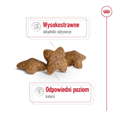 Royal Canin ROYAL CANIN Mini Adult 4kg