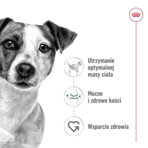 Royal Canin ROYAL CANIN Mini Adult 8kg
