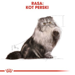Royal Canin ROYAL CANIN Persian Adult 2kg