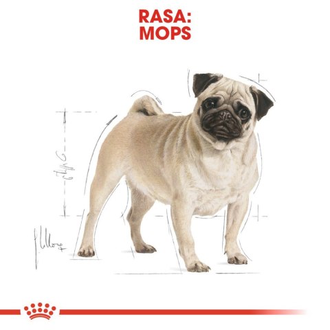 Royal Canin ROYAL CANIN Pug Adult 1,5kg